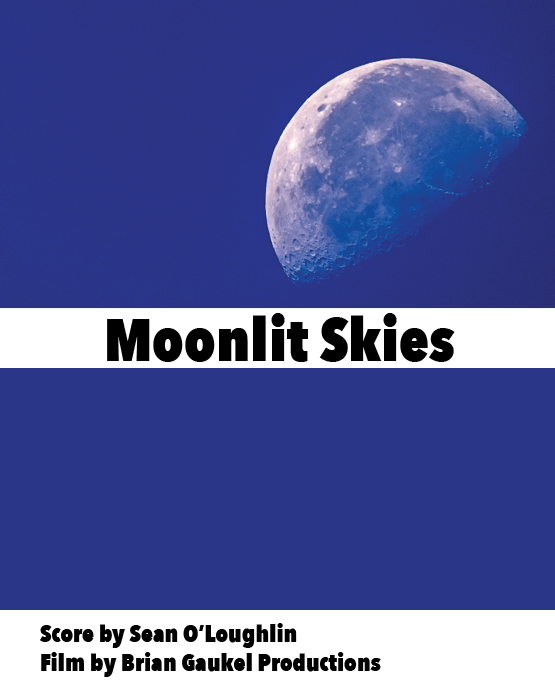 Moonlit Skies