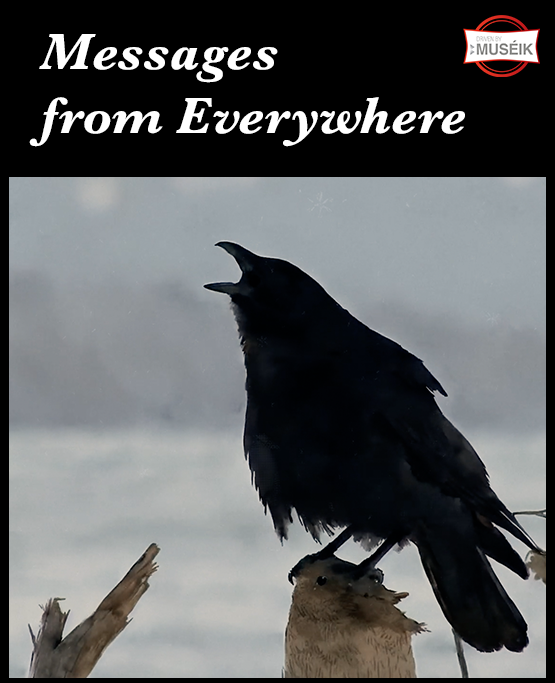 Messages from Everywhere - SOFTWARE PREMIUM