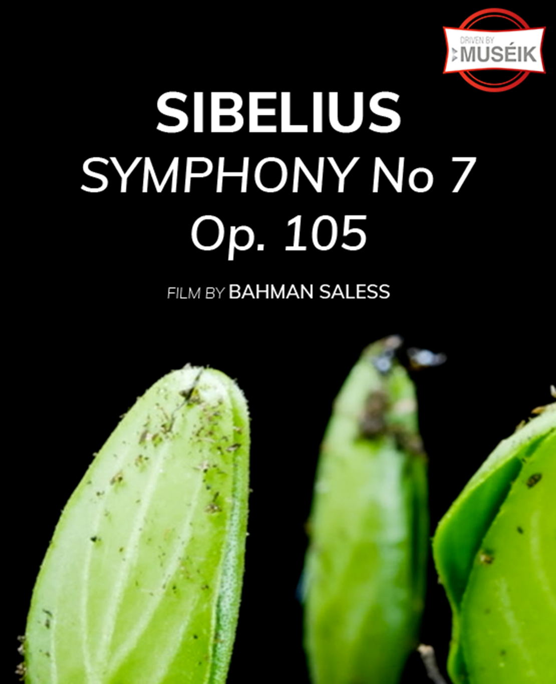 Symphony No 7, Op. 105
